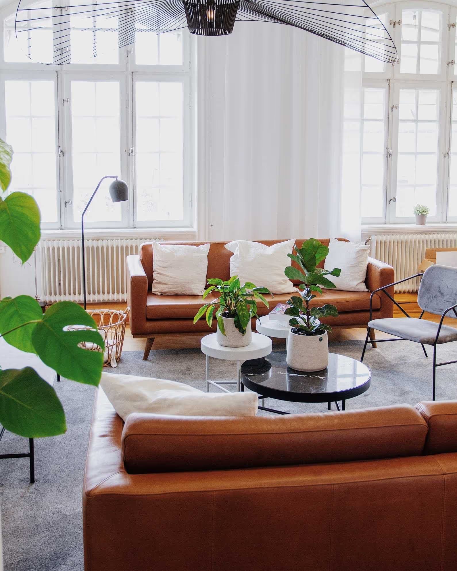 Loungen på IVEO:s kontor med lädersoffor, växter och höga fönster